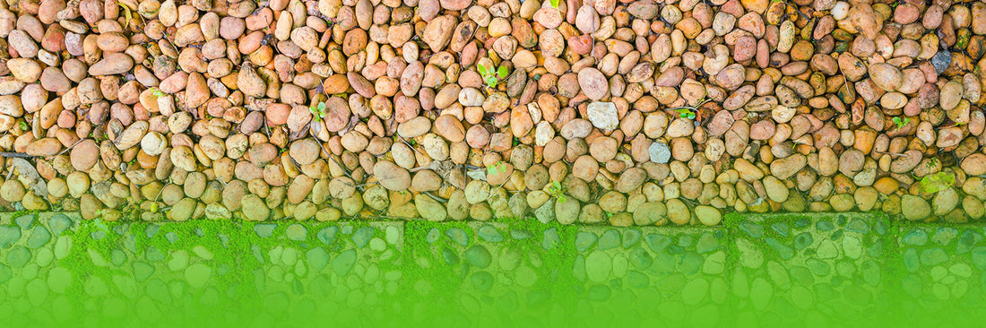 How to Choose the Best Decorative Stones for Your Garden in Northern Ireland
