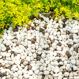 The Complete Guide to Decorative Aggregates for Northern Ireland Gardens