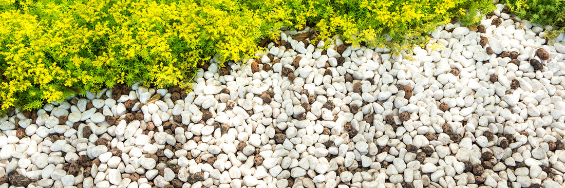 The Complete Guide to Decorative Aggregates for Northern Ireland Gardens