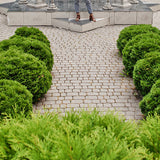 Top Landscaping Trends Using Natural Stone in Northern Ireland