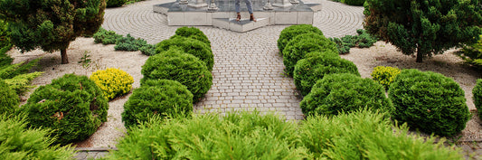Top Landscaping Trends Using Natural Stone in Northern Ireland